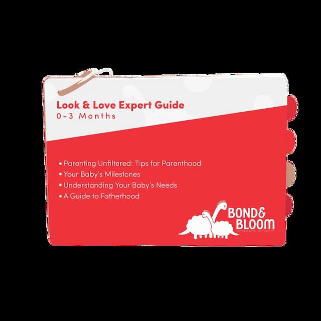 Expert Guide