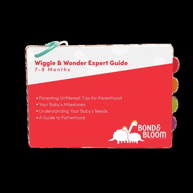 Expert Guide